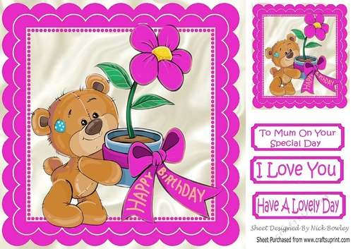 Special teddy with cerise flowers for someone special 8x8