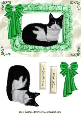 Purfect Picture! Pretty Green Eyes