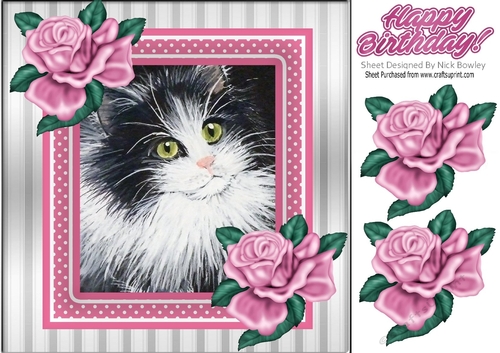 Lovely painted black and white kitten with pink frame and roses 8x8