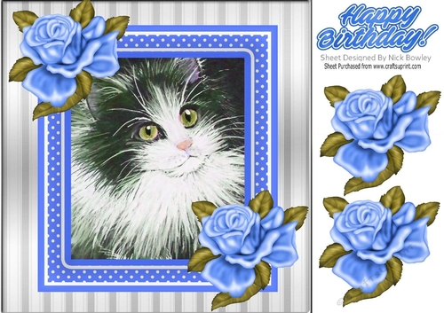 Lovely painted black and white kitten with blue frame and roses 8x8