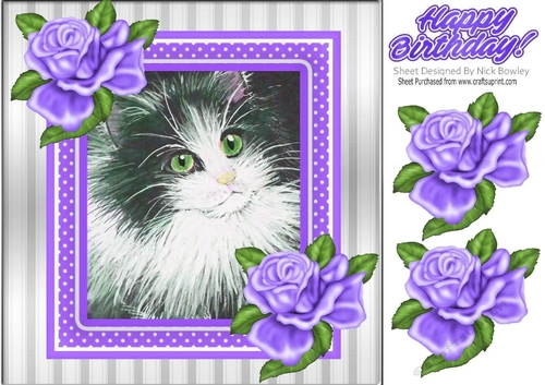 Lovely painted black and white kitten with purple frame and roses 8x8