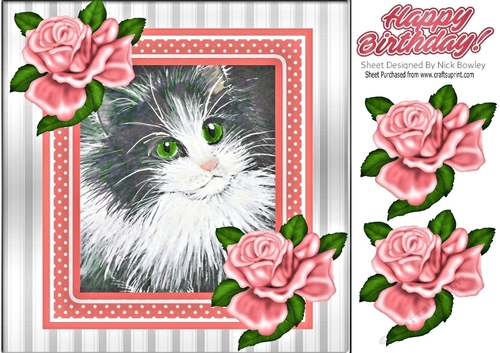 Lovely painted black and white kitten with peach frame and roses 8x8