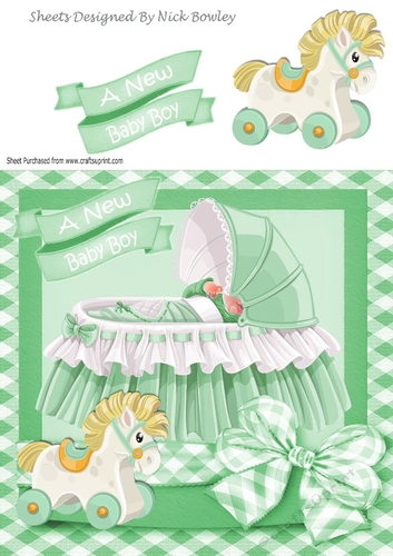 baby boy in green frill bassinet with gingham bow 8x8