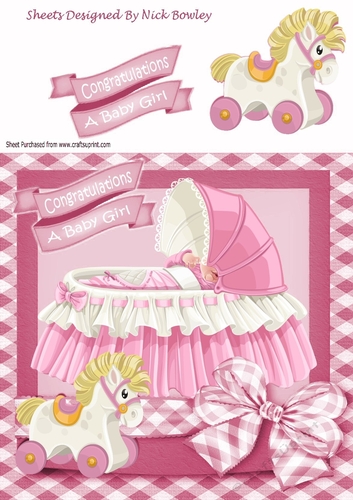 baby girl in pink frill bassinet with gingham bow 8x8