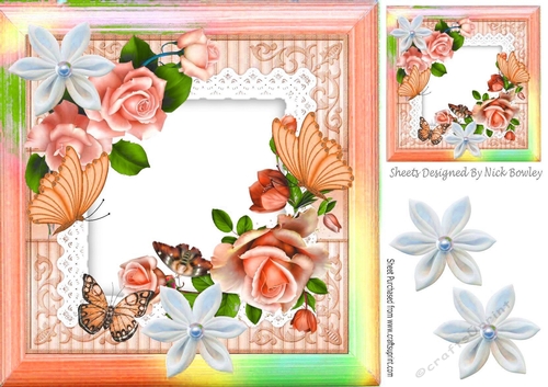 pretty peach roses on lace with butterflies and rainbow frame 8x8