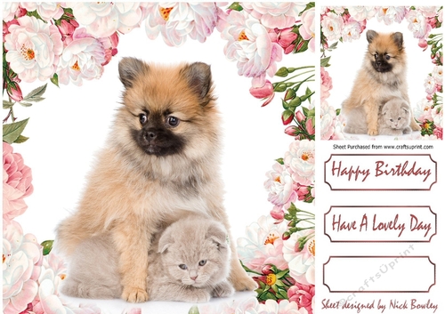 pretty pink/white peonies with cute kitten and pupy 8x8