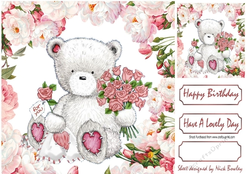 for you! cute white teddy with pink roses & peonies 8x8