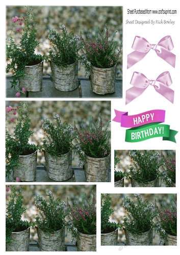 Wild Garden flowers in pots with bows pyramids