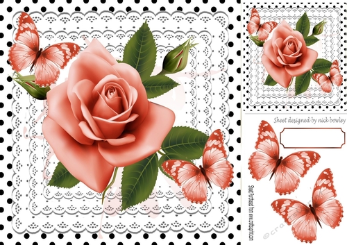 pretty peach roses on lace with butterflies and black polkadot 8x8