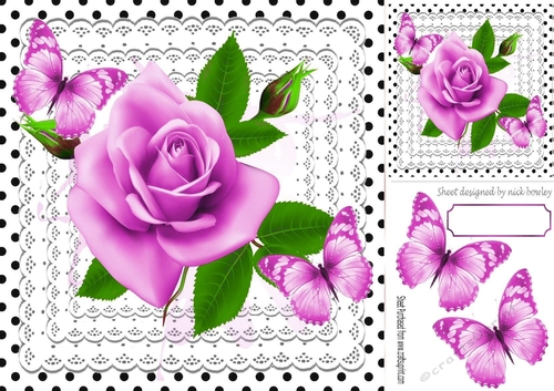 pretty pink roses on lace with butterflies and black polkadot 8x8