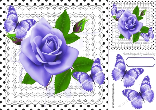 pretty lilac roses on lace with butterflies and black polkadot 8x8