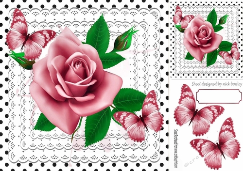 pretty rose pink roses on lace with butterflies and black polkadot 8x8