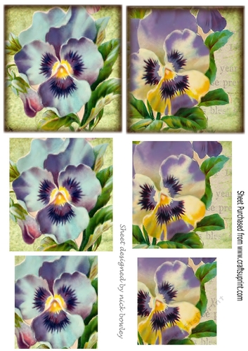 two pretty purple pansies in pyramids for the smaller cards