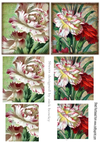 two pretty coloured roses red/white (set three) in pyramids for the smaller cards