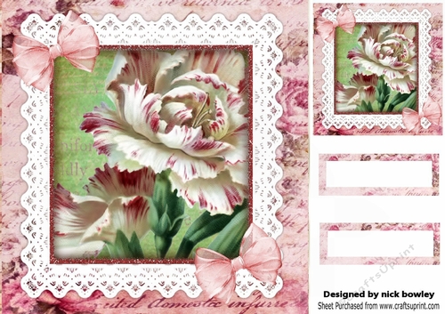 pretty pink/white roses on lace with organza bows 8x8