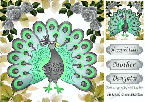 pretty peacock with silver corner roses 8x8