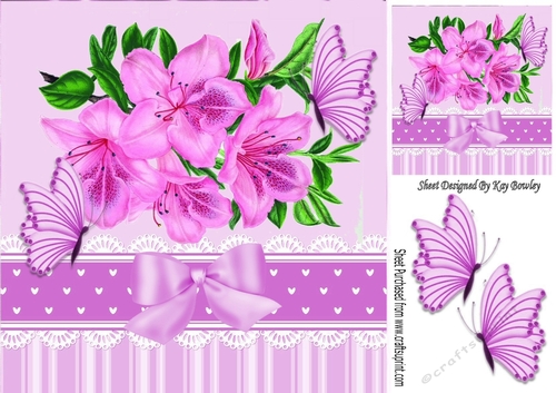 pretty painted pink Azaleas with bow & butterflies 8x8