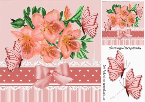 pretty painted peach Azaleas with bow & butterflies 8x8