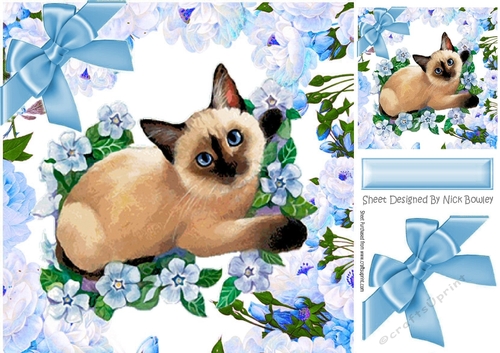 siamese kitten with blue flowers and bow 8x8