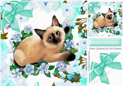 siamese kitten with turq flowers and bow 8x8