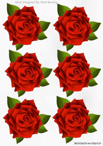 Six lovely red roses