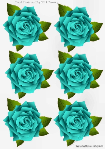 Six lovely turq roses