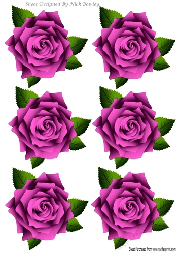 Six lovely cerise pink roses