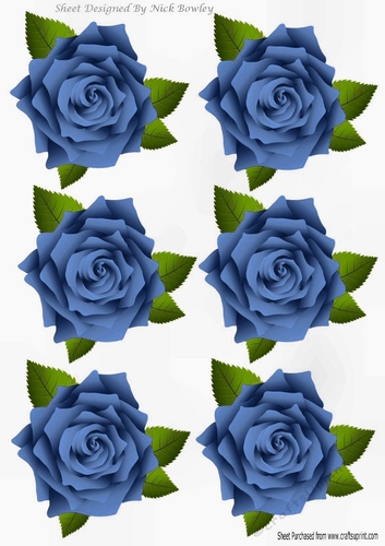 Six lovely blue roses
