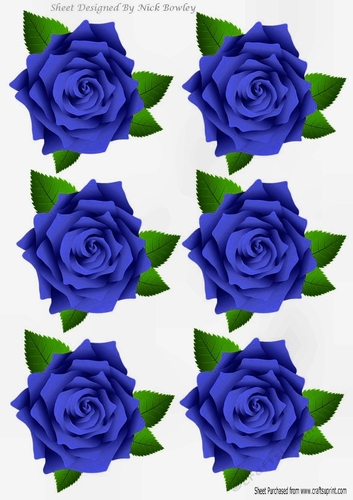Six lovely royal blue roses