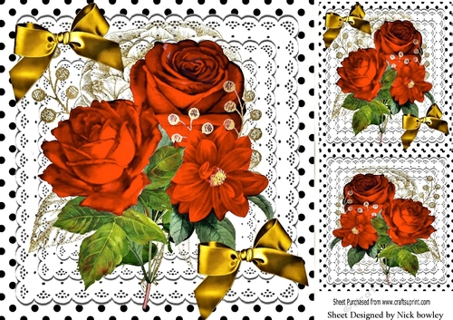 Beautiful orange roses with gold bows on lace 8x8
