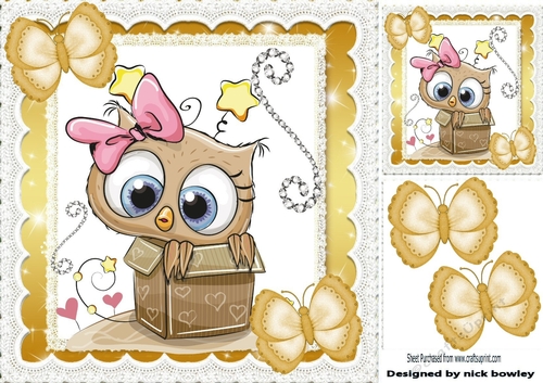 Cute owl in heart box with butterflies & sparkle 8x8