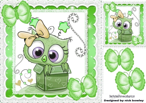 Cute owl in heart box with green butterflies & sparkle 8x8