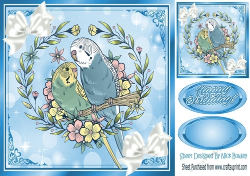 pretty budgies with white bows in  blue ornate frame 8x8