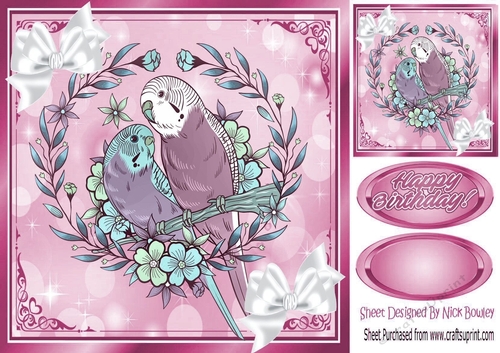 pretty budgies with white bows in pink ornate frame 8x8