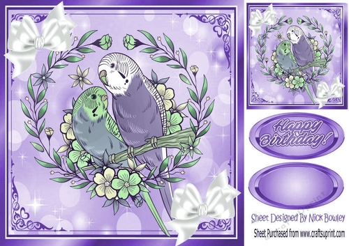pretty budgies with white bows in ornate purple frame 8x8