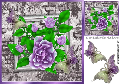 Pretty purple roses on brick effect wall with butterflies 8x8