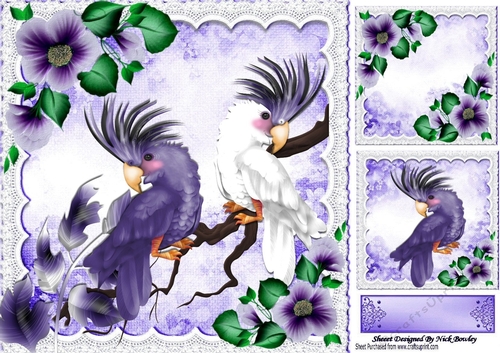 Beautiful purple & white Exoctic Birds with flowers 8x8