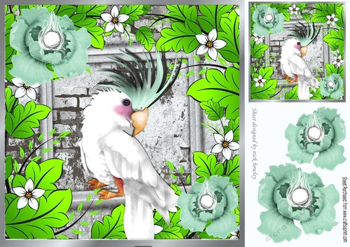 tropical bird with  turq flowers and brick wall 8x8
