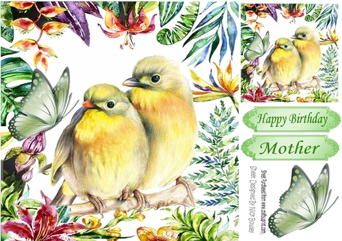 pretty yellow birds in tropical flower frame 8x8