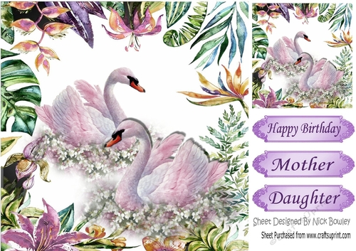 pretty swans in tropical flower frame 8x8