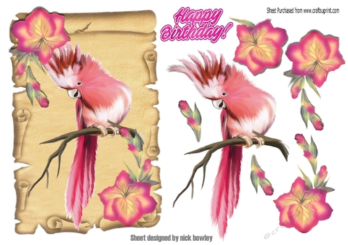 pink tropical bird with flowers on a scroll