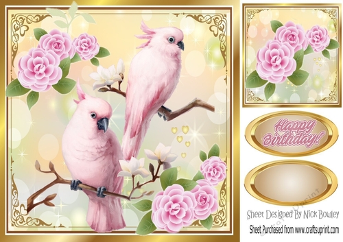 pretty pair of pink parrots on a branch with pink roses 8x8