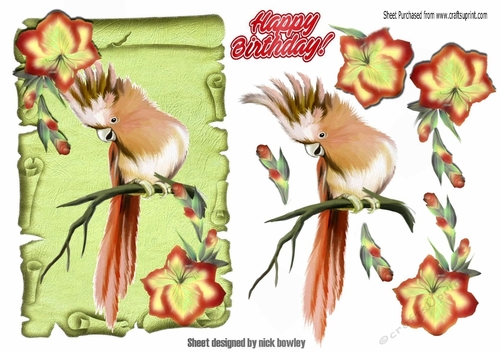 peach tropical bird with flowers on a  green scroll