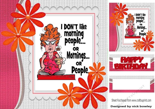 I Just Dont Do Mornings! with pink flowers 8x8
