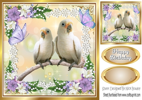 pretty white tropical birds with lilac flowers & butterflies 8x8