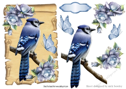 pretty blue bird on a scroll with blue roses