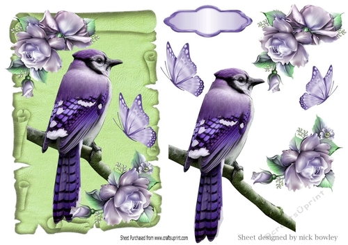 pretty lilac bird on a scroll with lilac roses