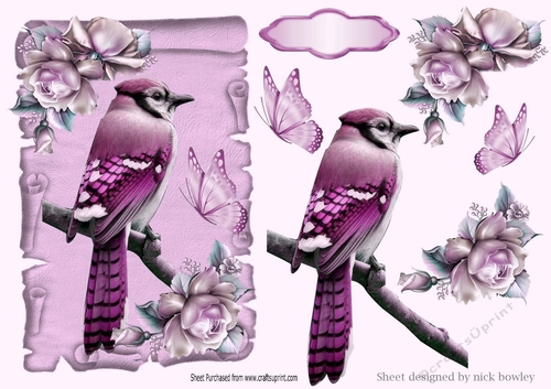 pretty pink bird on a scroll with pink roses