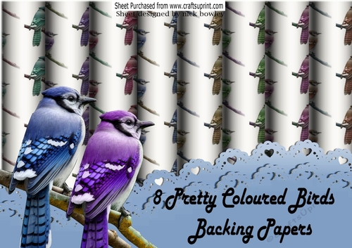 8 pretty Coloured  birds on a branch backing paper
