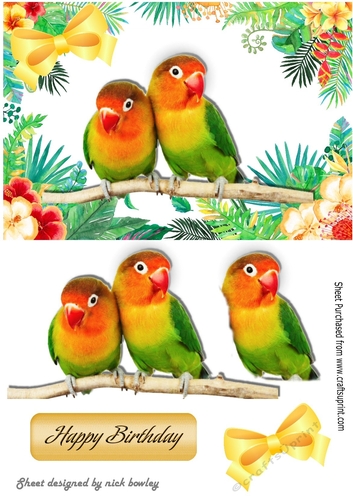 Pair of love birds on a branch in tropical flower frame